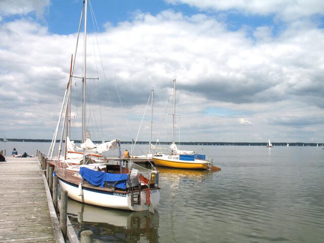 Draußen sehen wir unzählige weiße Segel.