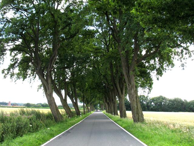 Wir verlassen das Steinhuder Meer. Über Feldwege und Landstraßen radeln wir weiter.