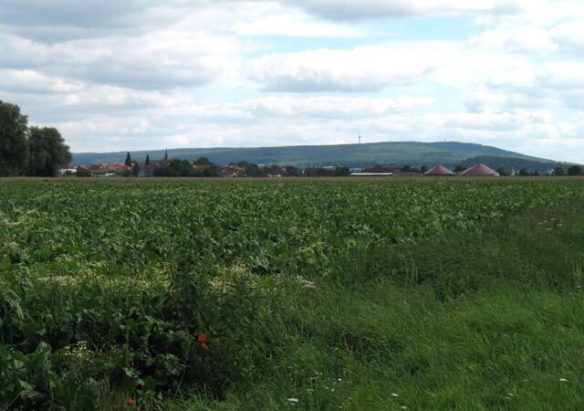 Die letzten 30 Kilometer liegen vor uns. Nach rechts erstreckt sich der Deister mit Bad Nenndorf an seinem nördlichen Ende. Im Vordergrund das Dorf Hohnhorst.