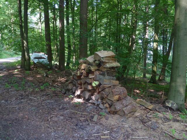 Hier wurde schon mal eine Holzfinne zurecht gelegt.