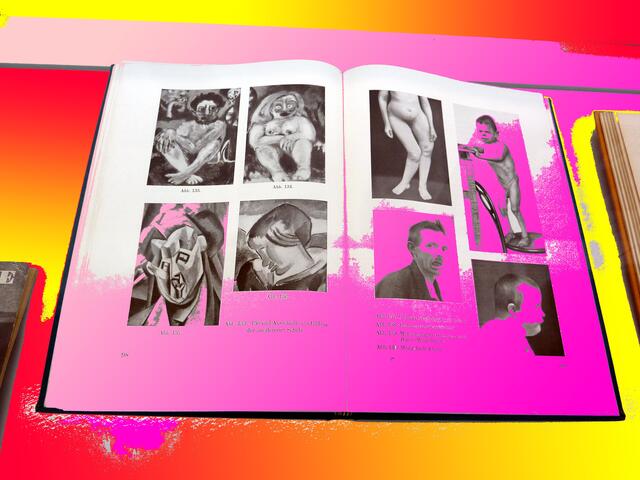 NAZI-BUCH mit Bildern von EMIL NOLDE - lnks oben - als ENTARTET gestempelt - verfolgt - verkauft; Vitrine des NOLDE MUSEUMs Seebüll: Info - Aufklärung. werner hahn p-malerei