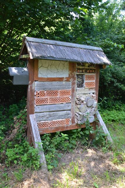 Die Insektenwand auf der Naturinsel wird von der NAJU vergrößert werden.