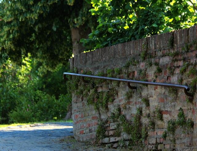 die alte Schloßmauer