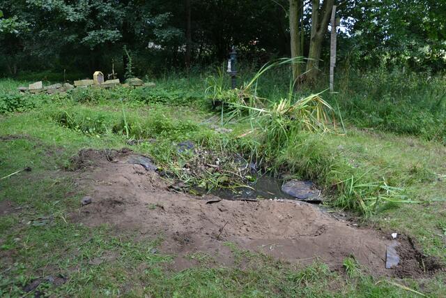 Der Teich nach dem zweiten Arbeitstag | Foto: Katja Woidtke