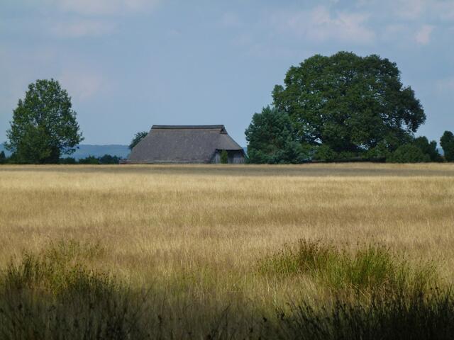 Ein Weg entlang von Feldern