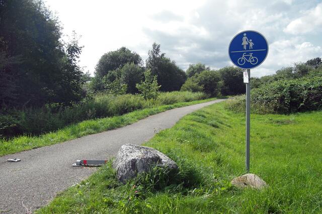 Der Dassower See liegt im Schnittpunkt von zwei Vogelzugstraßen. Er dient als Sommerrast- und als Überwinterungsquartier für nordische Wasservögel.