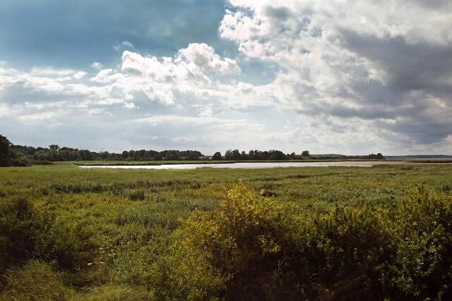 Über den Fluss Stepenitz fließt ständig Süßwasser in den Dassower See, das durch regelmäßig einströmendes Ostseewasser versalzt (verbrackt) wird.