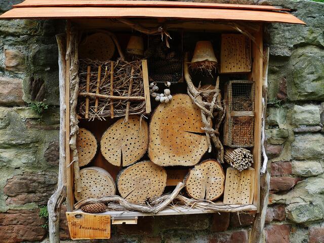 Neues Insektenhotel !