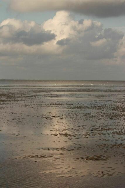 Watt - abziehendes Wasser