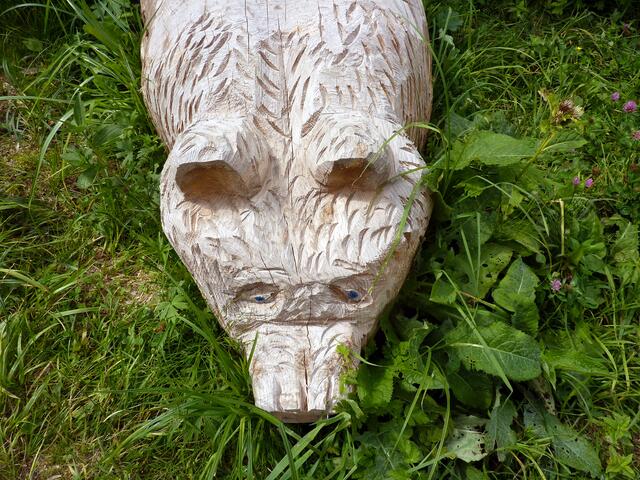 Charly-Ann's Zaubertiere, gesehen an der Unteren Richteralpe