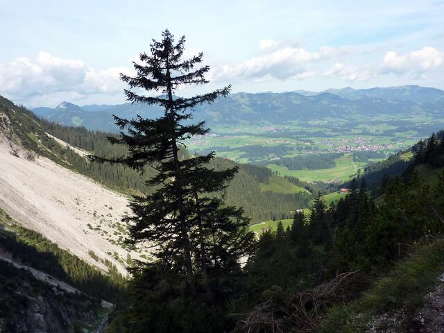 Blick ins Tal