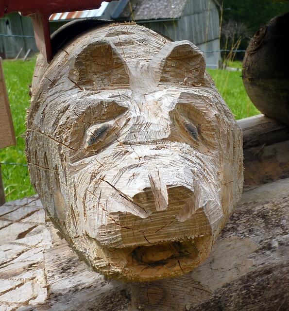 Charly-Ann und die "Holzviecher"