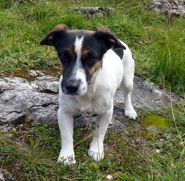 Charly-Ann fotografiert Lucy