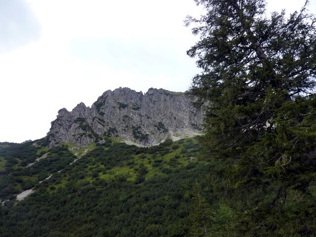 Charly-Ann lernt Proportionen