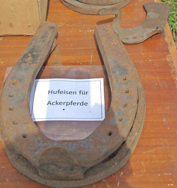 Ein Größenvergleich: Hufeisen für Ackerpferde (im Vordergrund) - Hufeisen für Kühe (im Hintergrund)