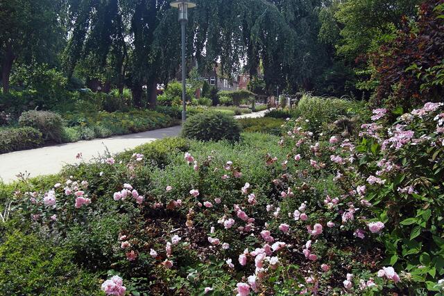 Von der Seepromenade führt ein breiter Spazierweg durch den Rosengarten zur Altstadt von Eutin.