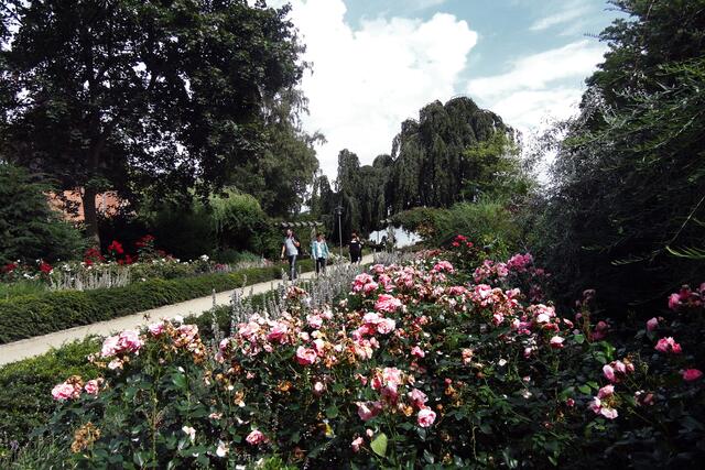 Der breite Spazierweg wird von aufwändigen Rosen- und Staudenbeeten eingefasst.