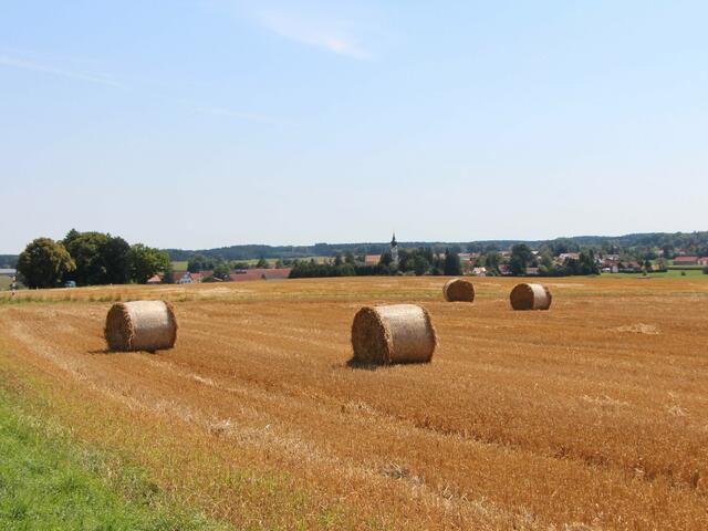 über die Felder mit Blick nach Schwabhausen
