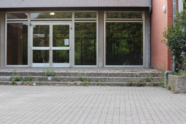 Schulgarten ???
