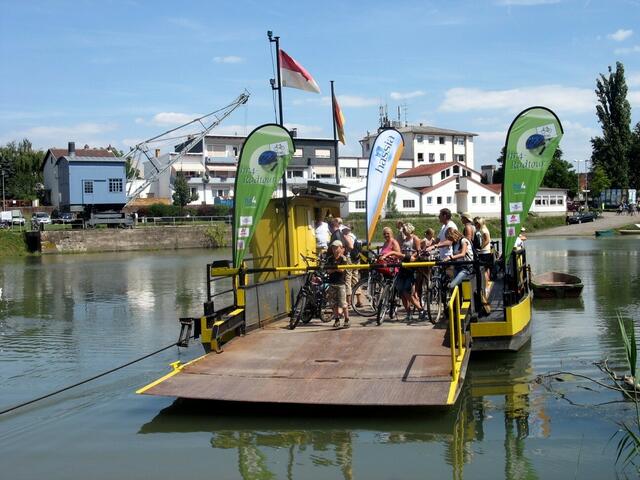 Überfahrt mit der Fähre nach Ginsheim (7.8.2010)