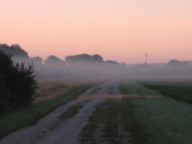 Es geht auf Ruthe zu. Hinter dem Dorf, nach Schliekum hin, liegt unter den Feldern ein Gravitationswellendetektor verborgen.