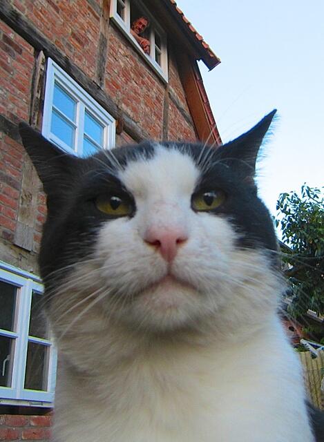 Jetzt hör mal auf mit der Knipskiste - hat sich wohl gar nichts geändert - und gib mir bitte etwas Futter.