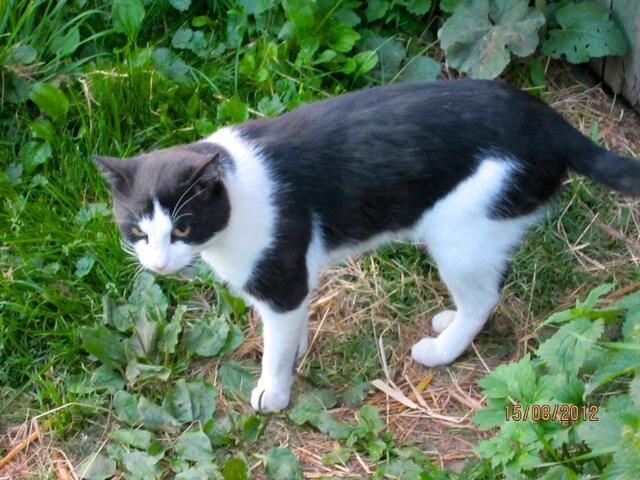 Hast Du vielleicht etwas zu essen für mich?