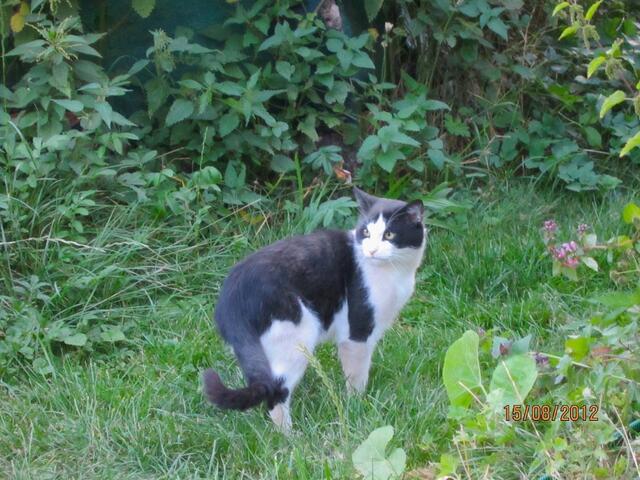 Oh, ein Geräusch - hoffentlich bin ich hier nicht doch in Gefahr!?!