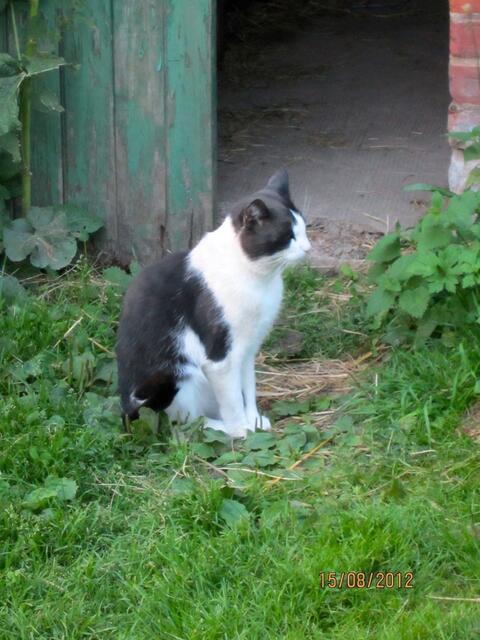 Ich darf wohl hier sein!