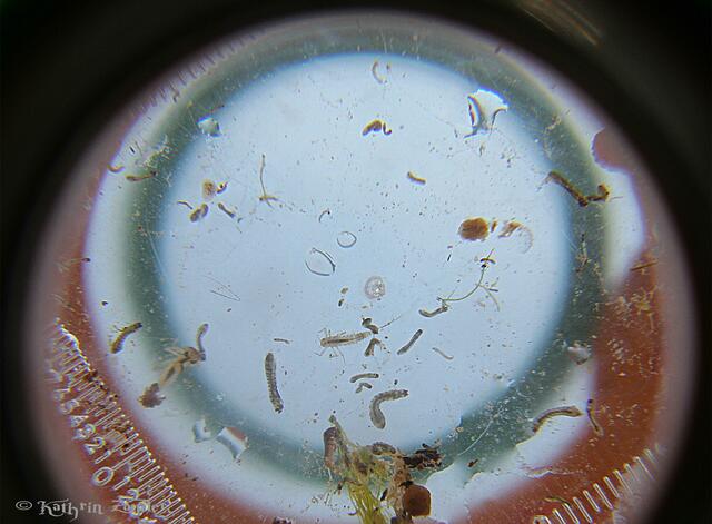 auch ein Blick für euch