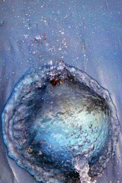 Illuminierte Qualle