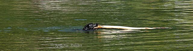 der war unermütlich