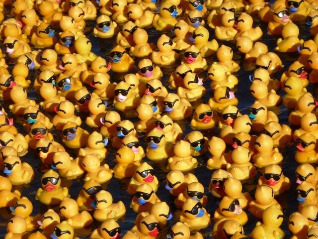 Auflauf - und wo ist meine?!