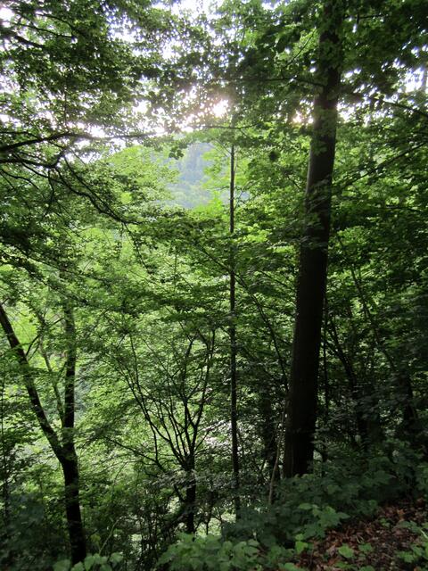 Da die Talsohle sehr eng und an manchen Stellen schluchtartig ist,