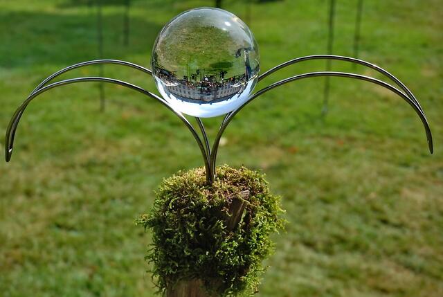 Glaskugelblume - oder ???
