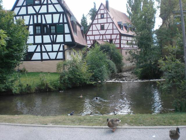 Blick vom Parkplatz. Im linken Haus sind Aufenthaltsräume (mit w-lan-Anschluss) und Schulungsräume untergebracht