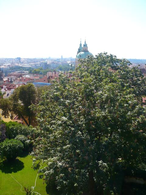 Prag von oben
