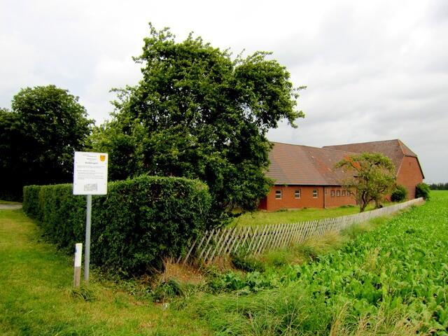 Von den Feldern aus nach Koldingen hinein