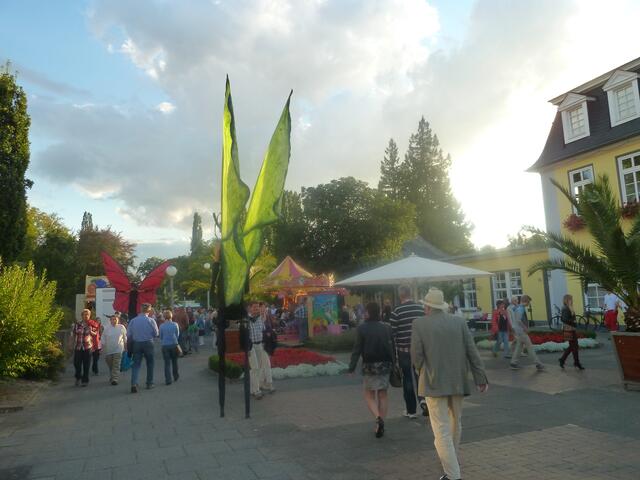 Als die Schmetterlinge und Blumen kamen,gingen wir natürlich hin,die wollten wir aus der Nähe sehen.