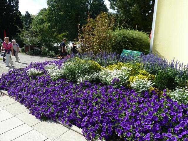 Bad Nenndorfs Blumenbeete in voller Pracht.