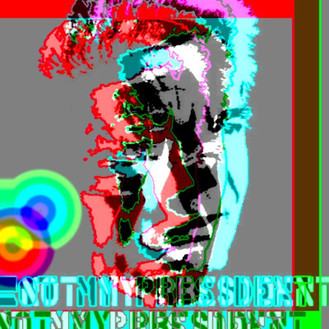 NOT MY PRESIDENT - der GAUCK-BP malerei werner hahn