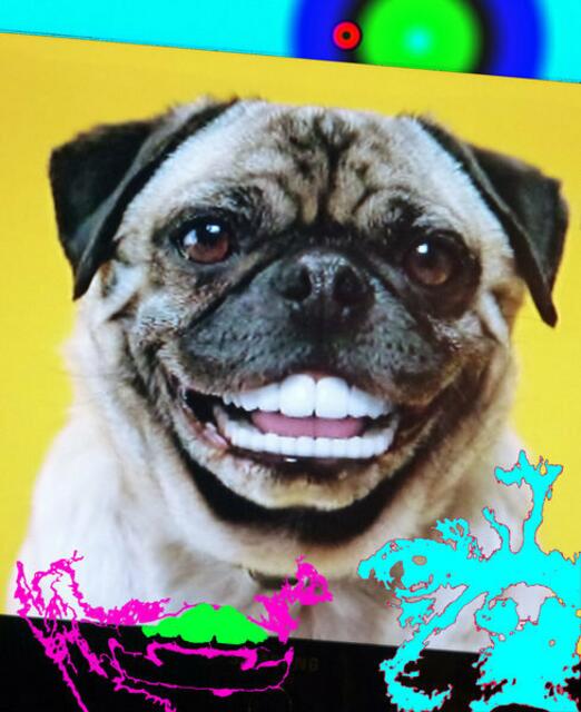 OCCUPY: Gleichheit und Gleichberechtigung von Künstlern und Kuratoren, Hunden und Menschen, diese beflissen akademische Polit-Korrektheit, dieses pseudomutige Kunst-in-Frage-Stellen, diese Pseudopolit- und Partizipationsfolklore