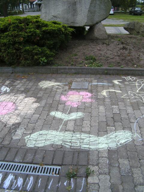 Ist das eine schöne Blume....