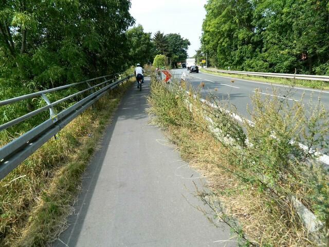 Die Stängel können die Räder blockieren.