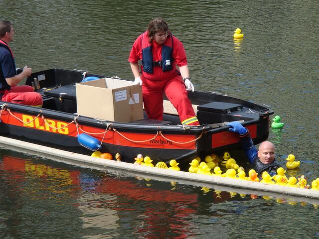 Die DLRG 'rettet' die Enten