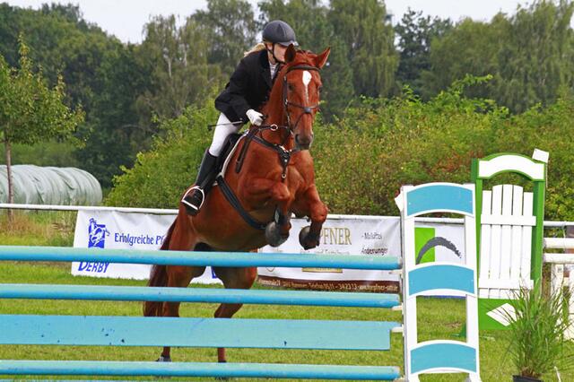 Springreiten in Hänigsen