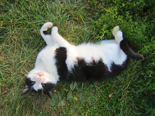 Schön, dass ich hier zu Besuch sein darf!