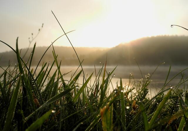 mit  Kristallen geschmückt