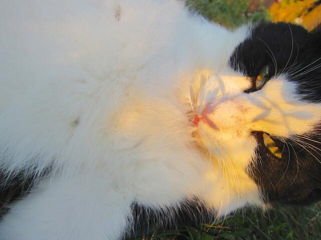 Jetzt bin ich zufrieden und kann mich schon mal schön machen