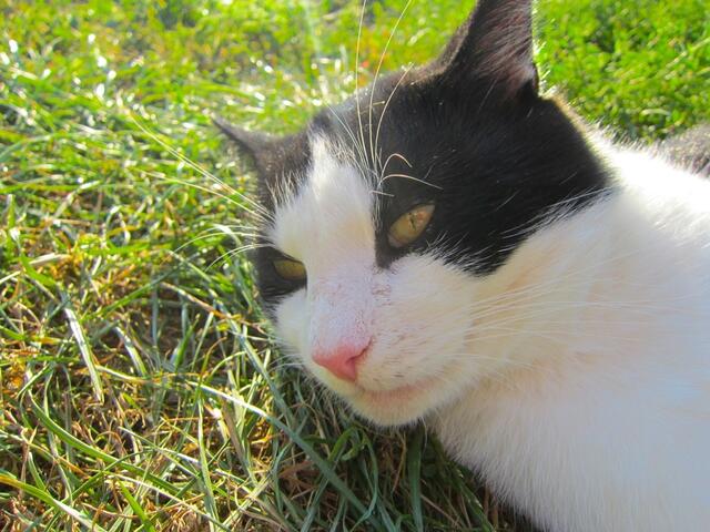 Hast du vielleicht Hunger?